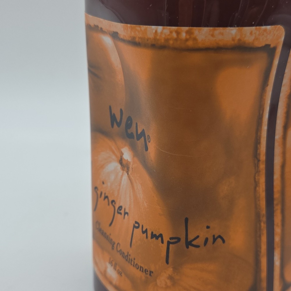 WEN Fall Ginger Pumpkin Cleansing Conditioner 16 oz NEW IN BOX - Picture 5 of 16